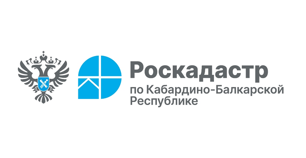 Кадастровый номер объекта: что это такое и зачем он нужен